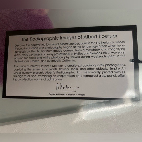 ALBERT KOETSIER “Language of Beauty” Mural - Picture 3 of 6